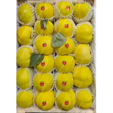 Айва Узбекская