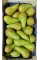 Груша Конференция (Бельгия)