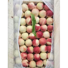 Нектарин Узбекский