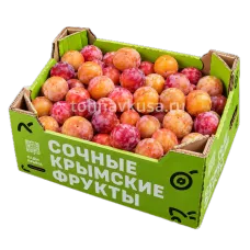 Слива Крымская 