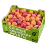 Слива Крымская