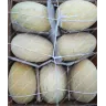 Дыня Торпедо мелкая (Узбекистан)