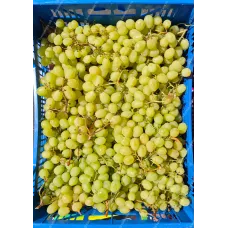 Виноград кишмиш белый (Турция)