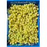 Виноград кишмиш белый (Турция)