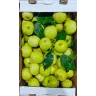 Яблоки Антоновка