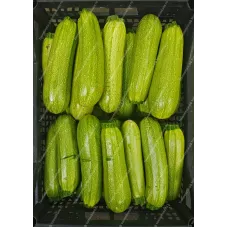 Кабачки (малая упаковка)