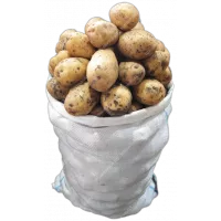Овощи, грибы