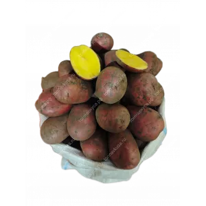Картофель красный