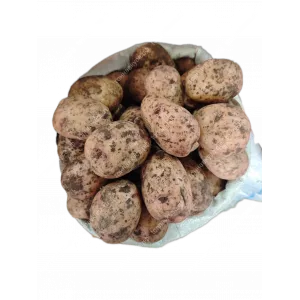Картофель Cинеглазка