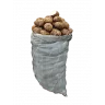 Картофель Синеглазка