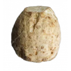 Корень сельдерея
