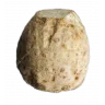 Корень сельдерея