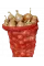 Лук репчатый