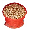 Лук севок