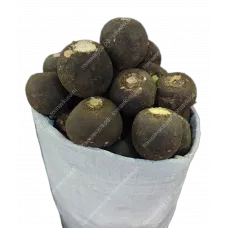 Редька черная