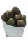 Редька черная