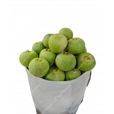Редька зеленая