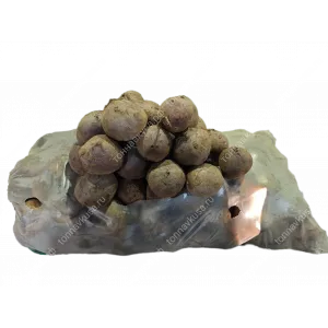 Свекла