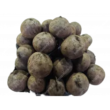 Свекла