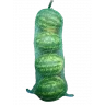 Арбуз