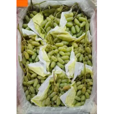 Виноград Дамские пальчики