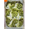 Виноград Дамские пальчики (Узбекистан)