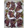 Виноград Ризамат (Узбекистан)