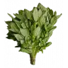 Базилик Зеленый