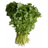 Кинза