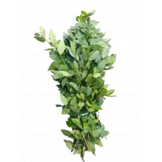 Лавровый лист (Ветки)