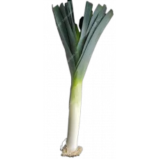Лук Порей