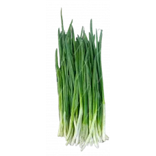 Лук зеленый