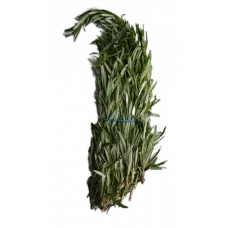 Розмарин