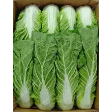Капуста Пекинская  
