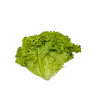 Салат листовой
