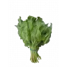 Щавель