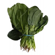 Шпинат