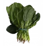 Шпинат